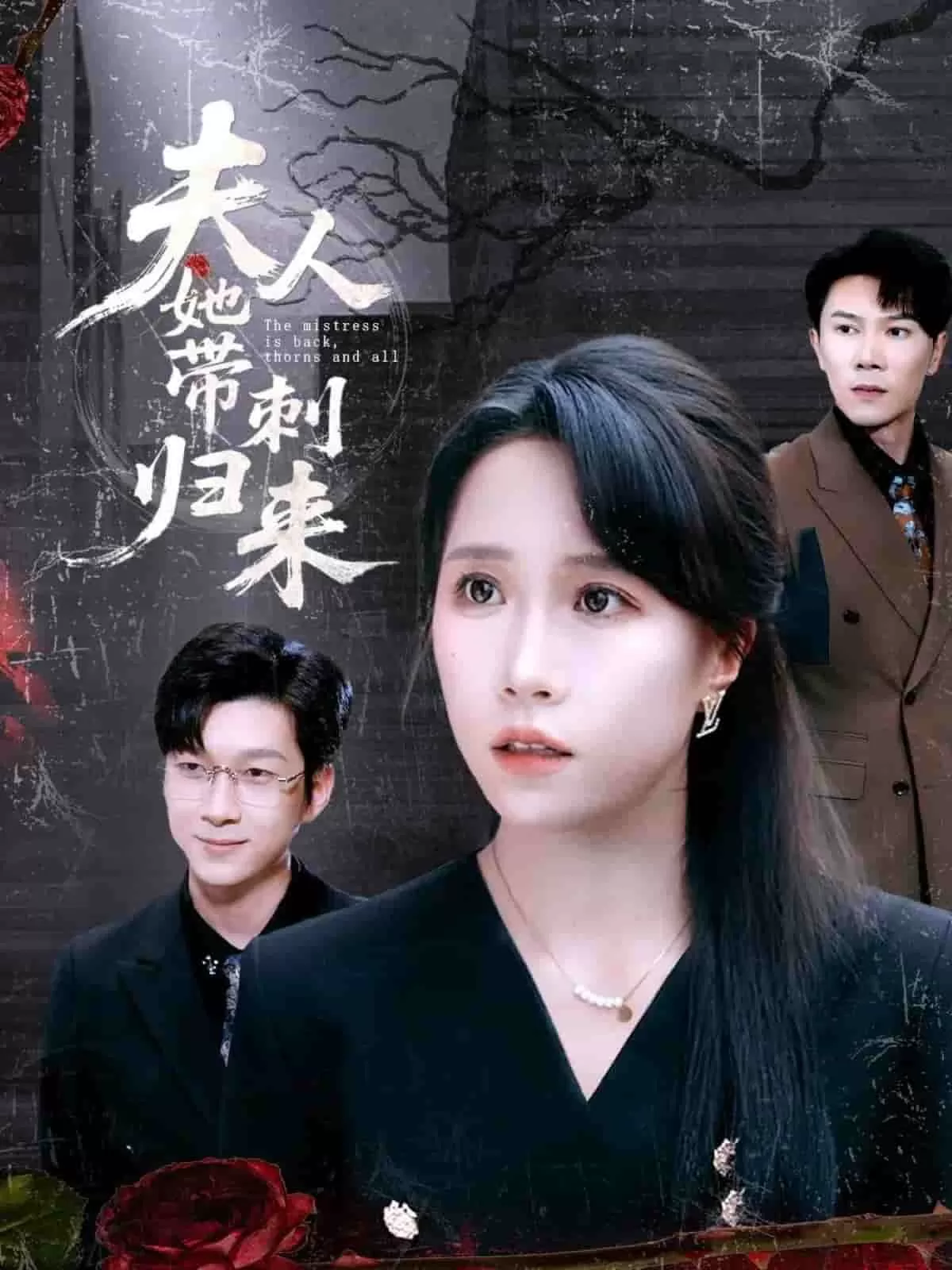 夫人她带刺归来